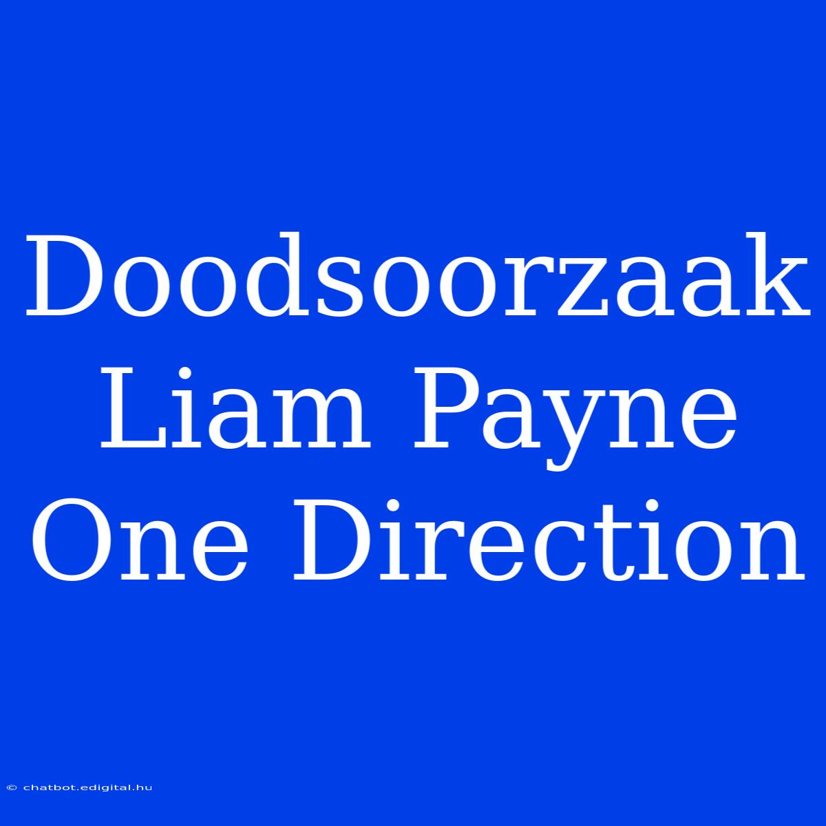 Doodsoorzaak Liam Payne One Direction 