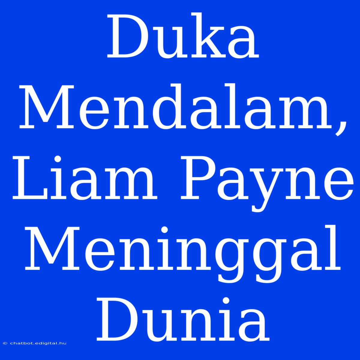 Duka Mendalam, Liam Payne Meninggal Dunia