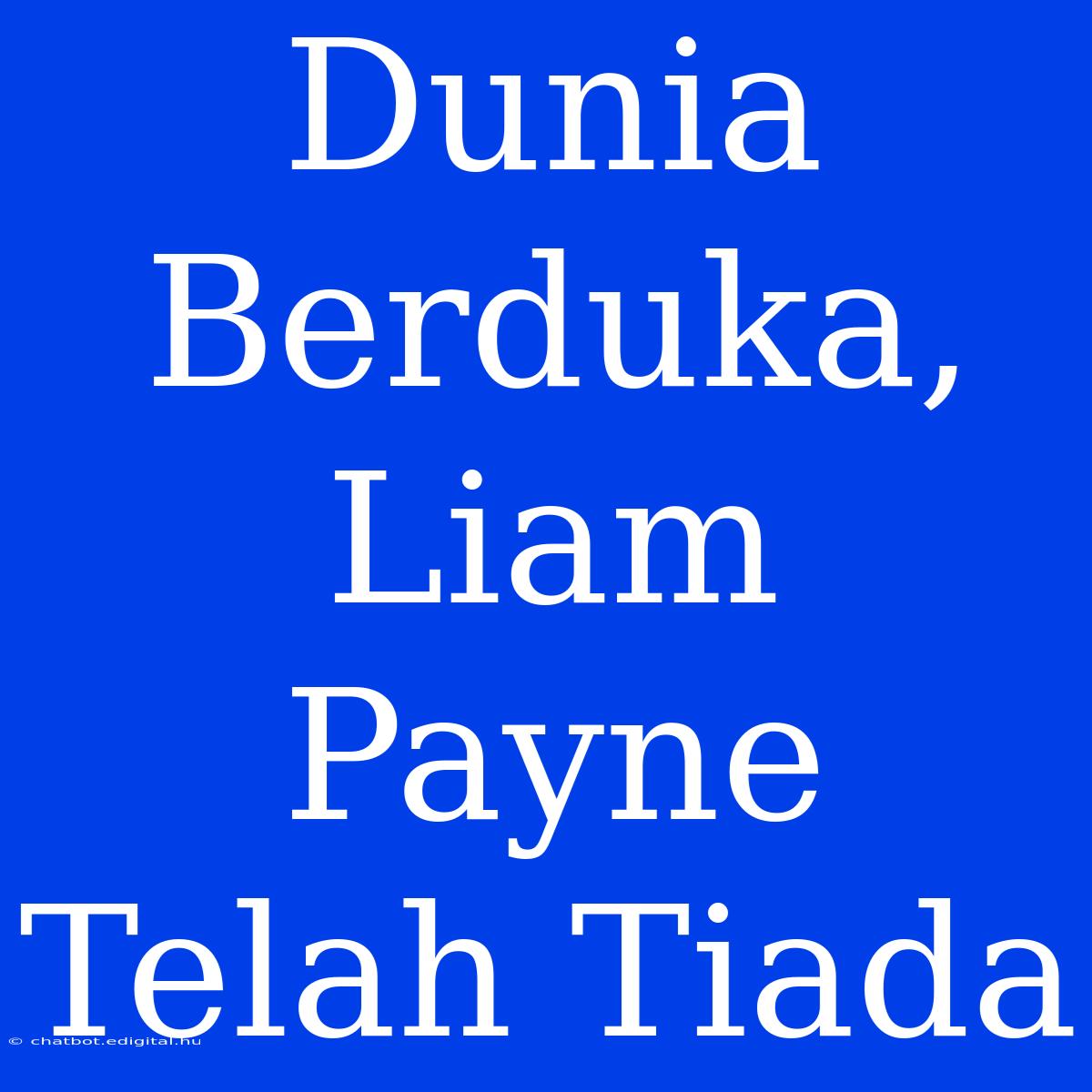 Dunia Berduka, Liam Payne Telah Tiada