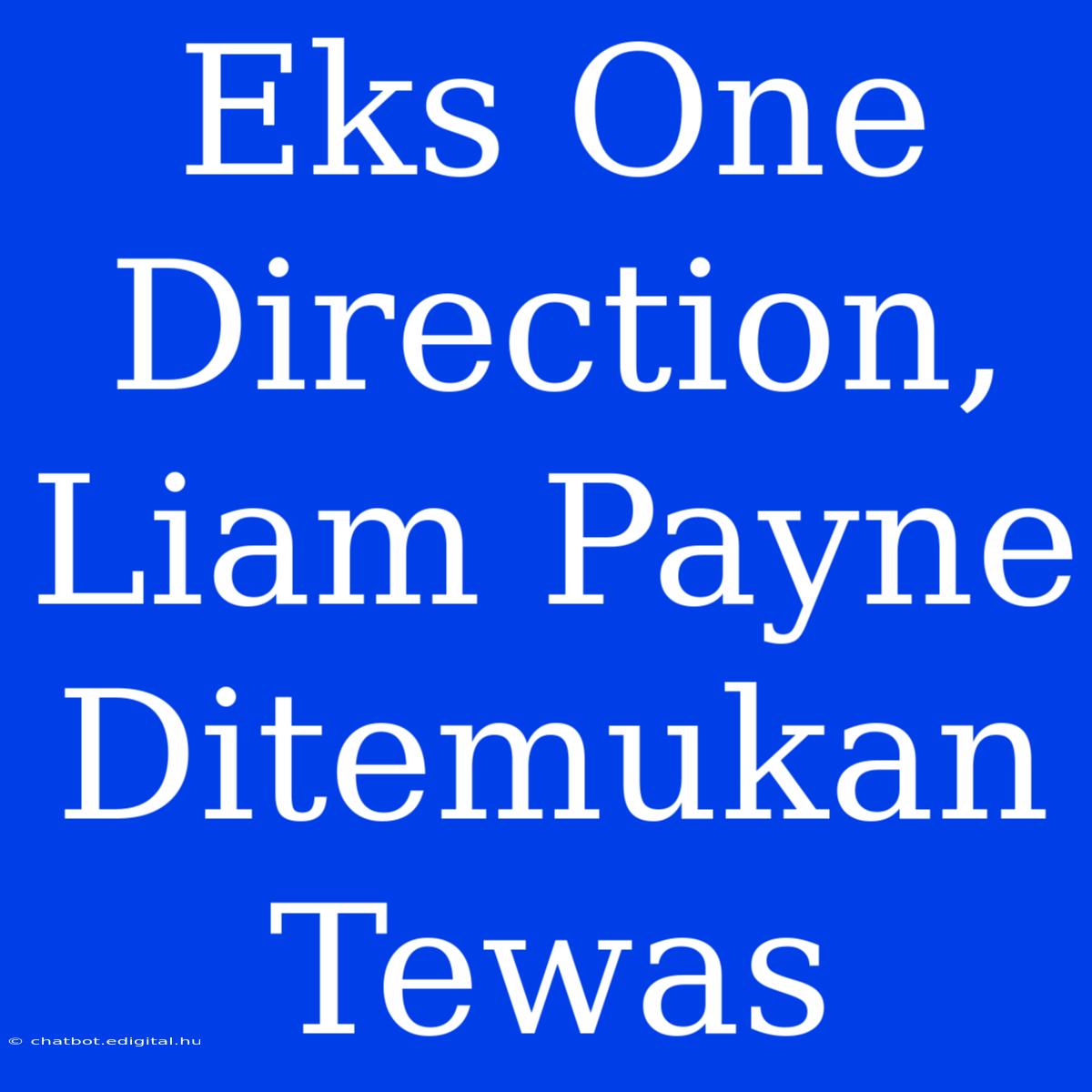 Eks One Direction, Liam Payne Ditemukan Tewas 