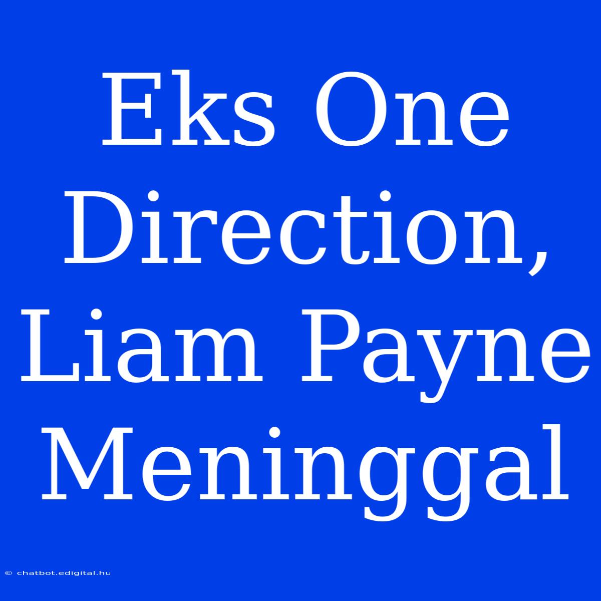 Eks One Direction, Liam Payne Meninggal 