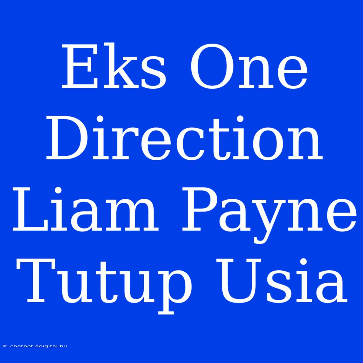 Eks One Direction Liam Payne Tutup Usia 