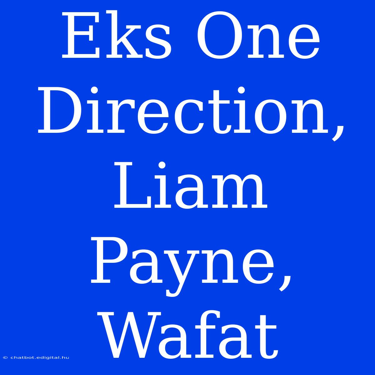 Eks One Direction, Liam Payne, Wafat