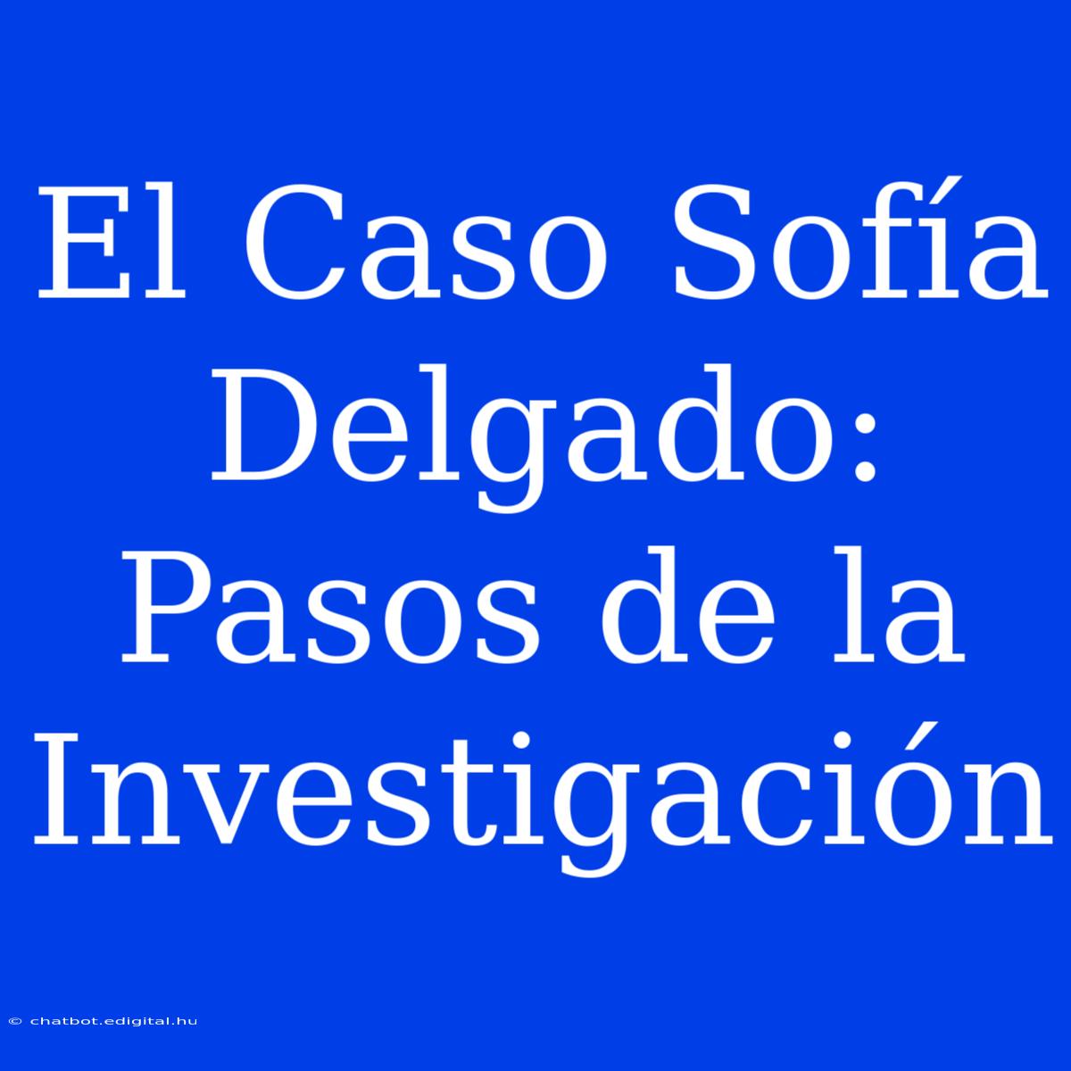 El Caso Sofía Delgado: Pasos De La Investigación