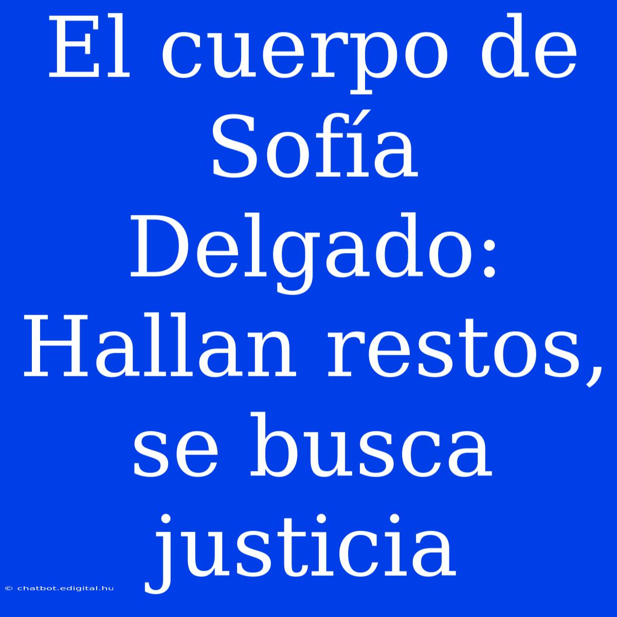 El Cuerpo De Sofía Delgado: Hallan Restos, Se Busca Justicia 