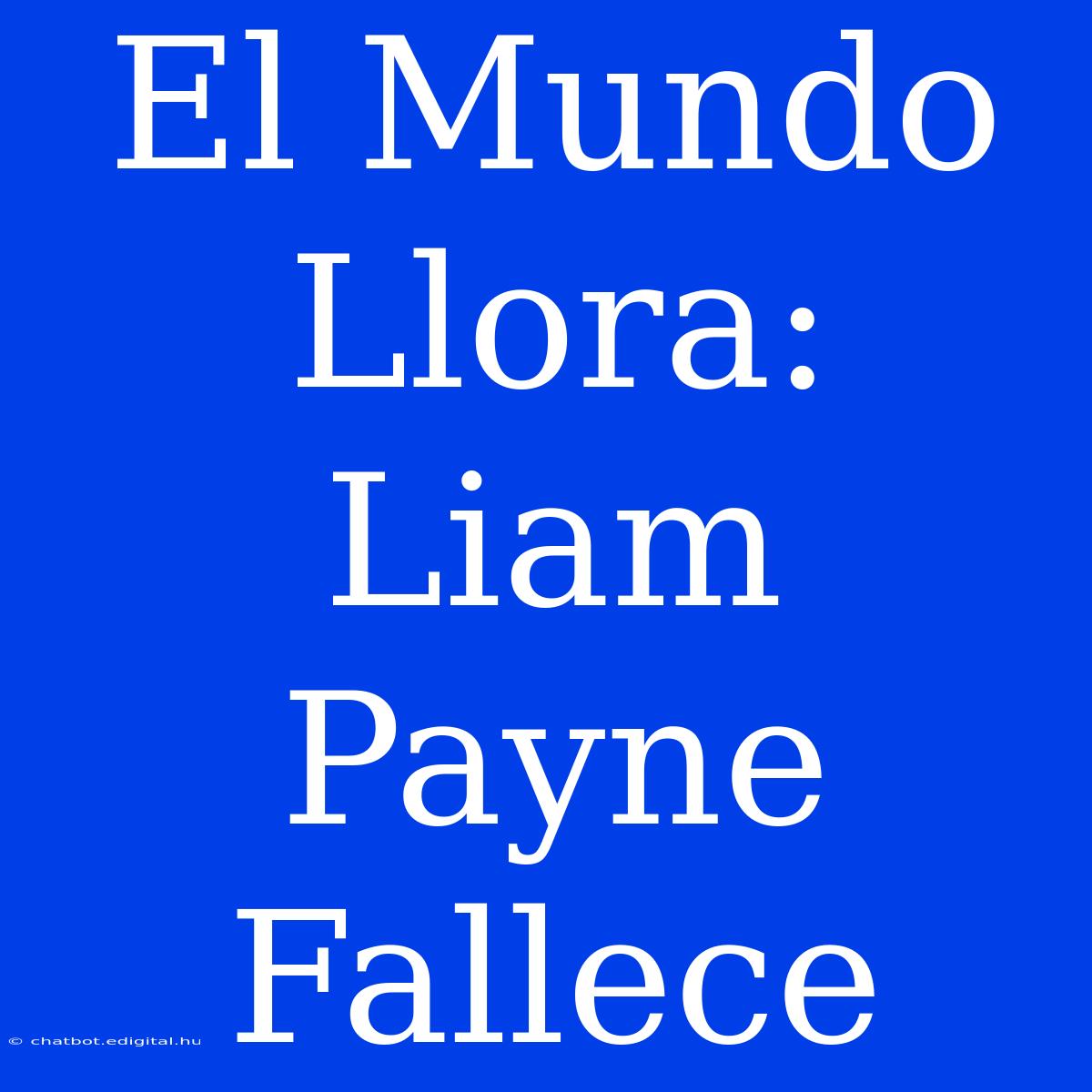 El Mundo Llora: Liam Payne Fallece