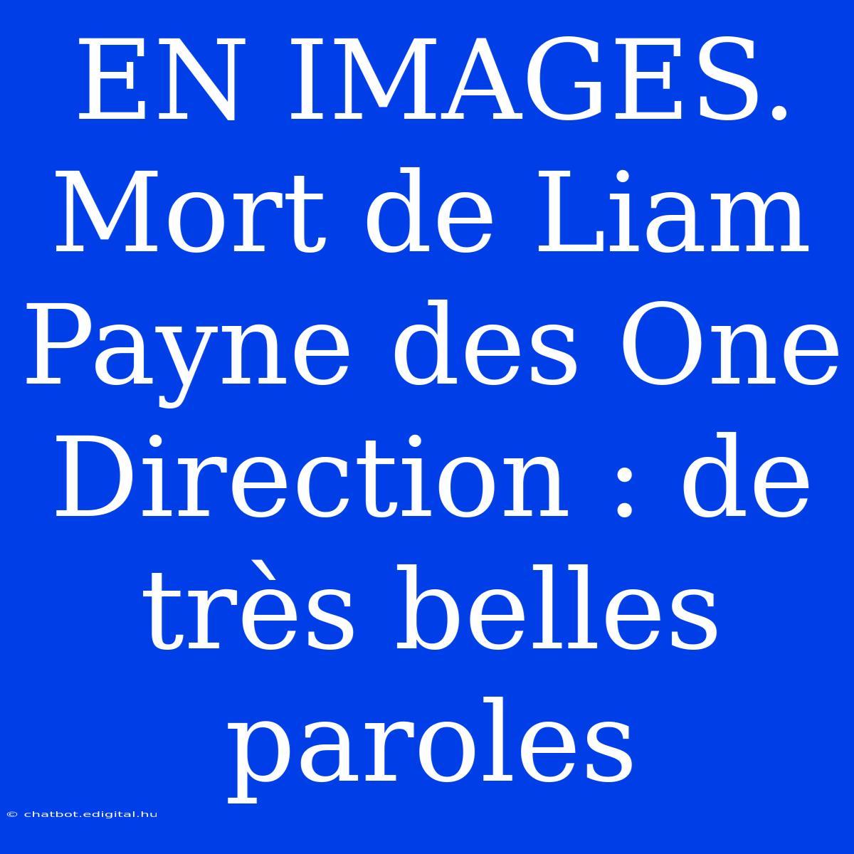 EN IMAGES. Mort De Liam Payne Des One Direction : De Très Belles Paroles