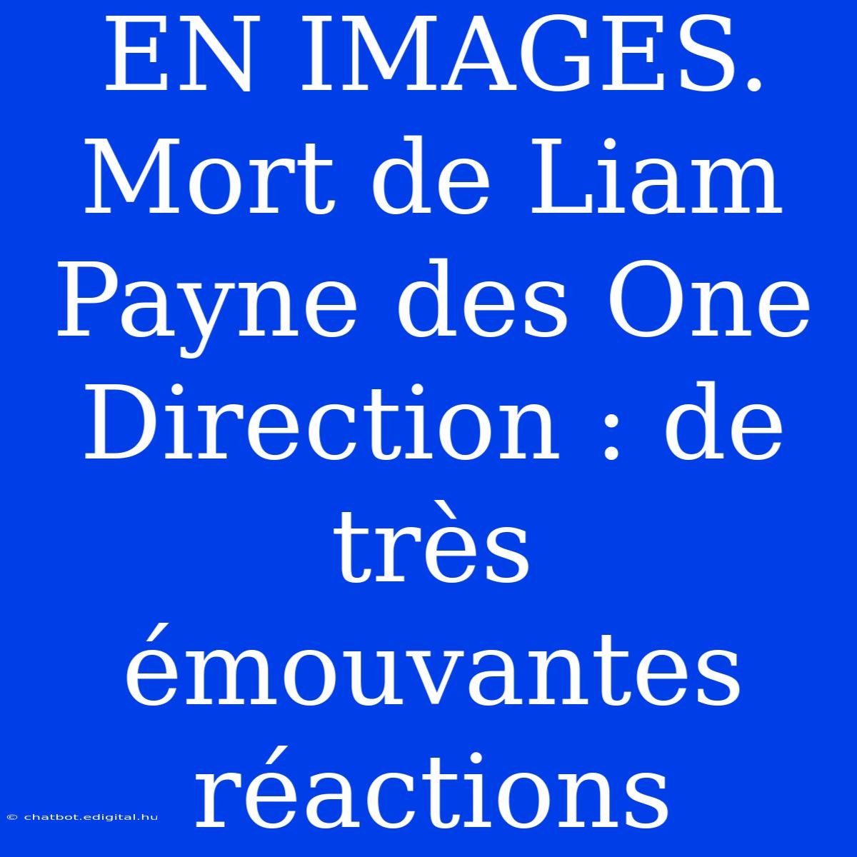 EN IMAGES. Mort De Liam Payne Des One Direction : De Très Émouvantes Réactions