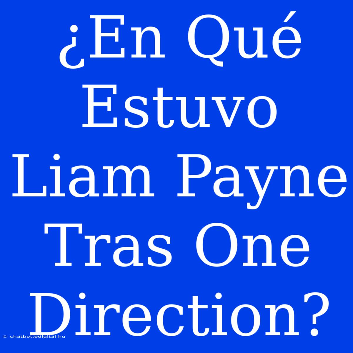 ¿En Qué Estuvo Liam Payne Tras One Direction?