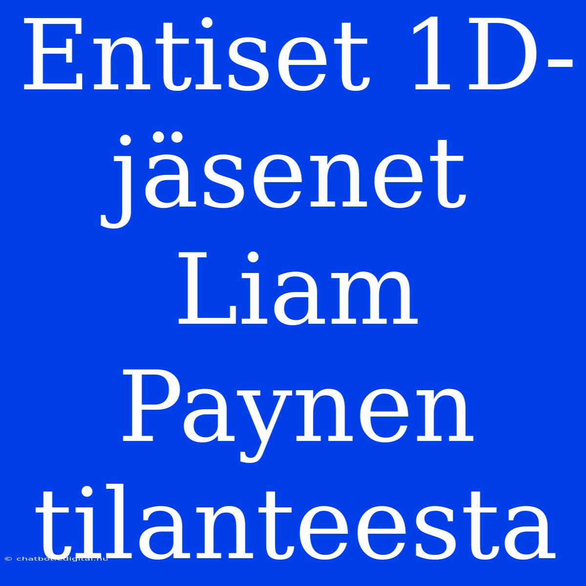 Entiset 1D-jäsenet Liam Paynen Tilanteesta