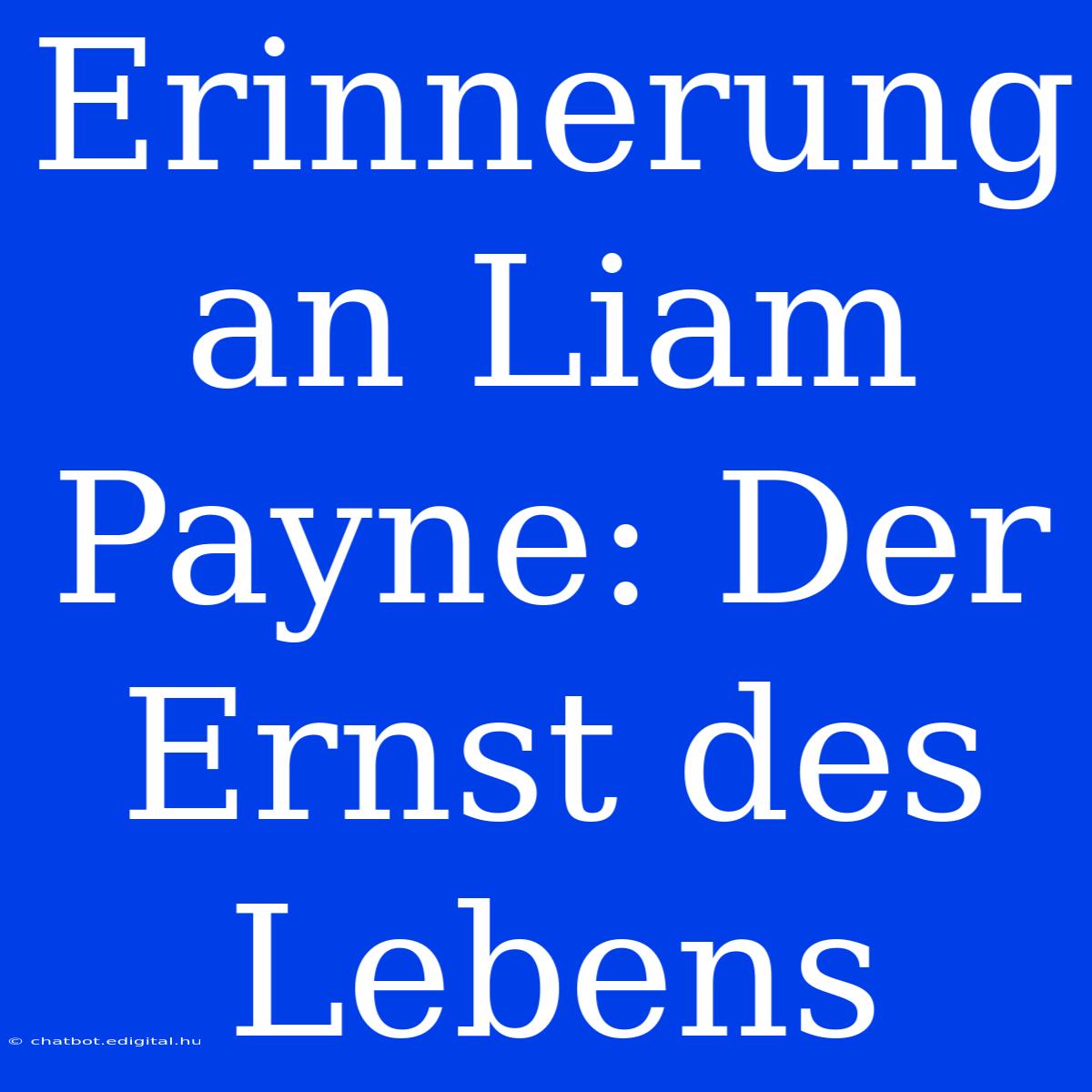 Erinnerung An Liam Payne: Der Ernst Des Lebens