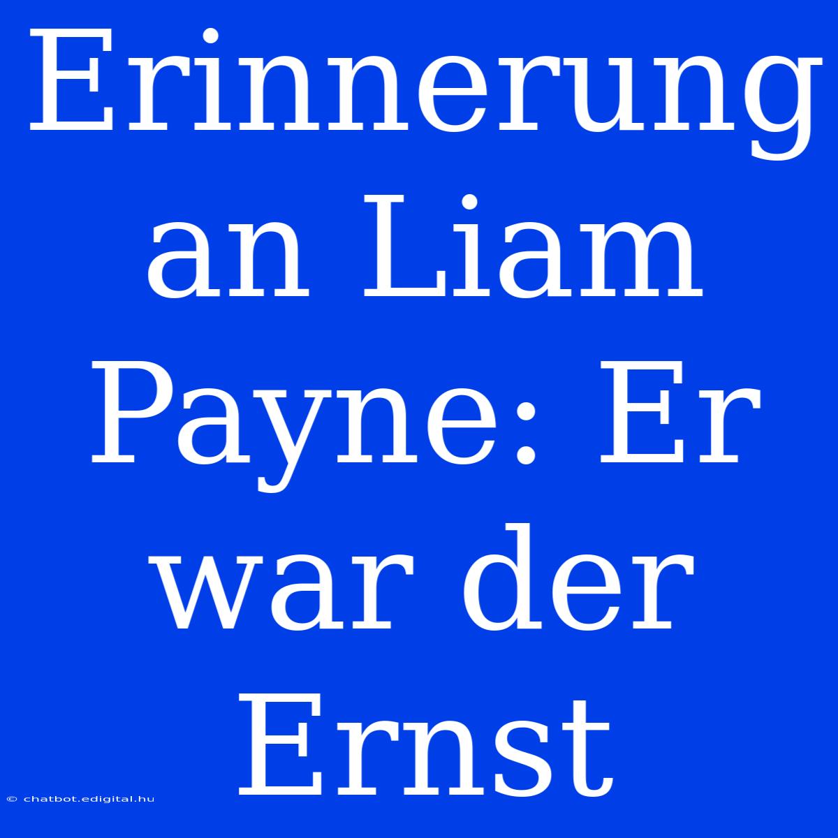 Erinnerung An Liam Payne: Er War Der Ernst