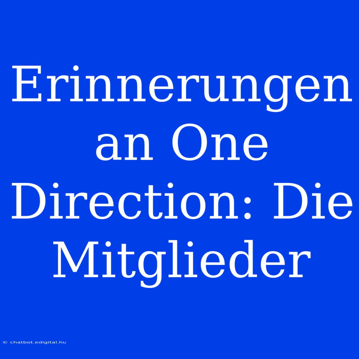 Erinnerungen An One Direction: Die Mitglieder