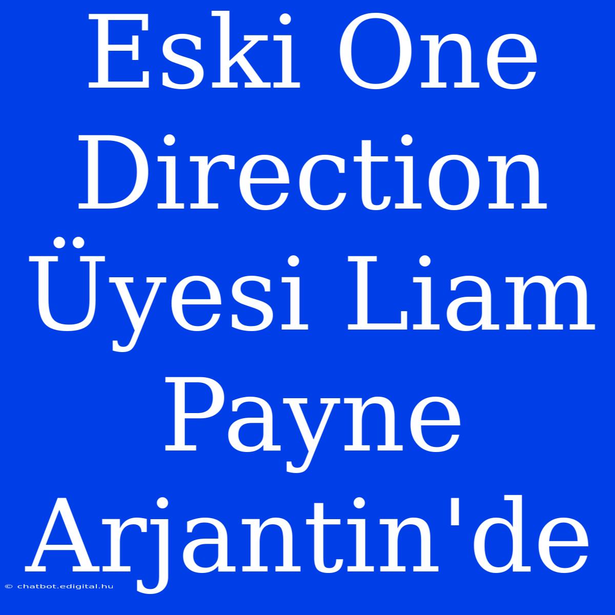 Eski One Direction Üyesi Liam Payne Arjantin'de