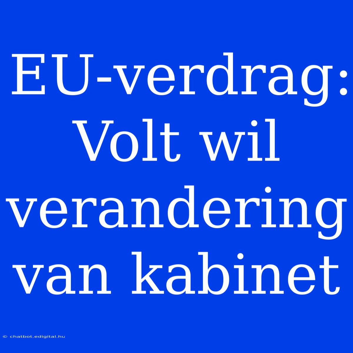 EU-verdrag: Volt Wil Verandering Van Kabinet 