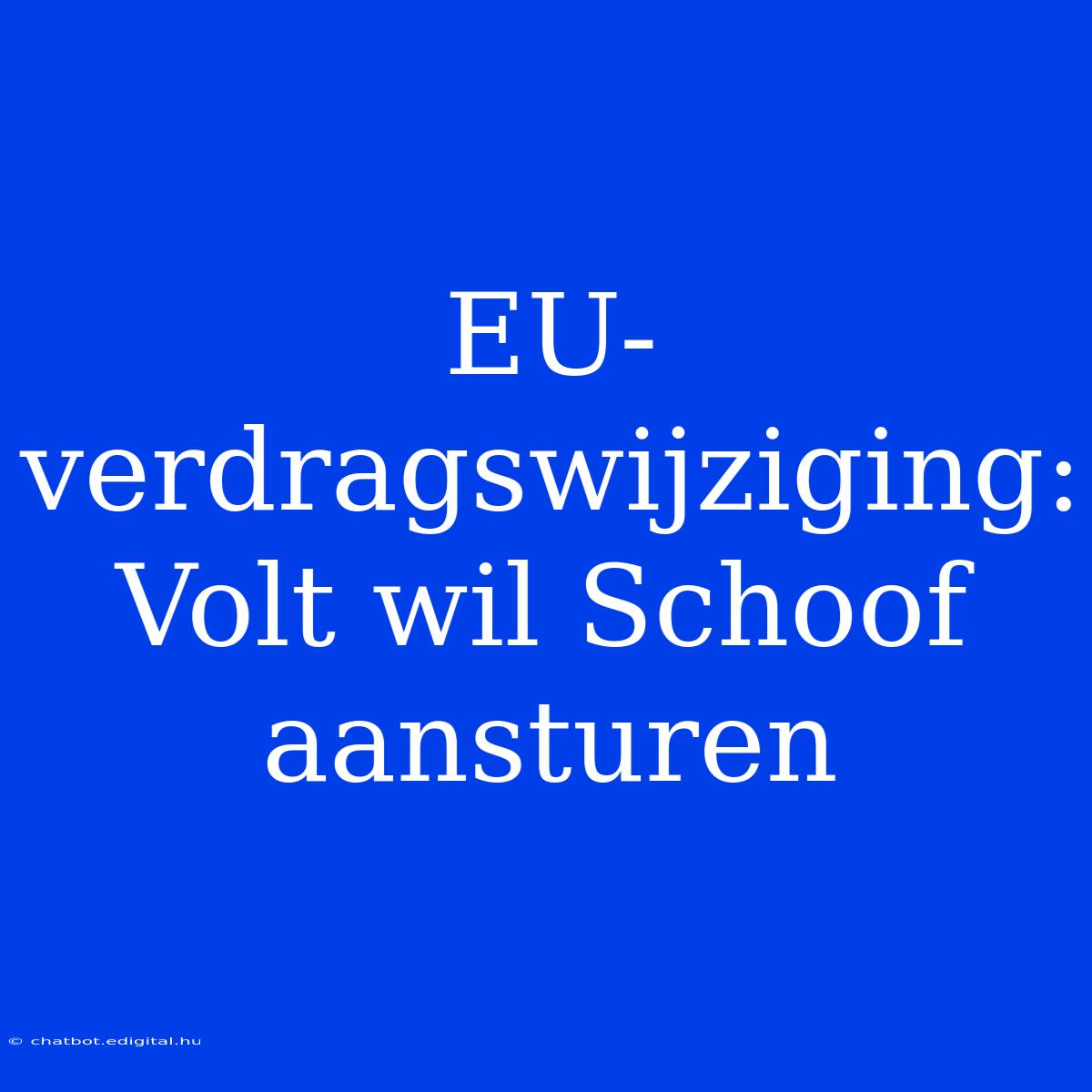 EU-verdragswijziging: Volt Wil Schoof Aansturen 