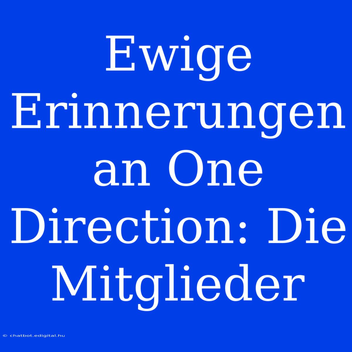 Ewige Erinnerungen An One Direction: Die Mitglieder