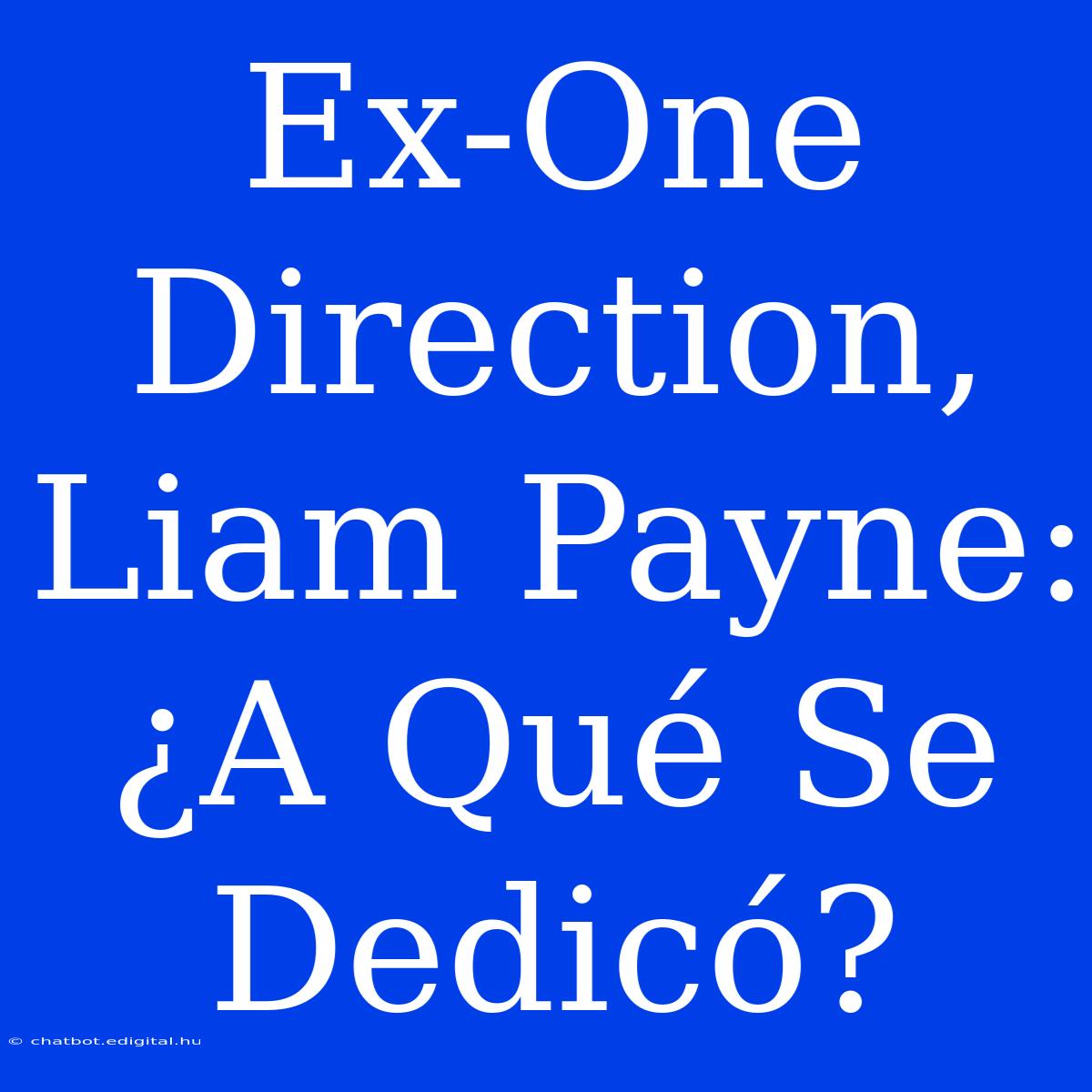 Ex-One Direction, Liam Payne: ¿A Qué Se Dedicó?