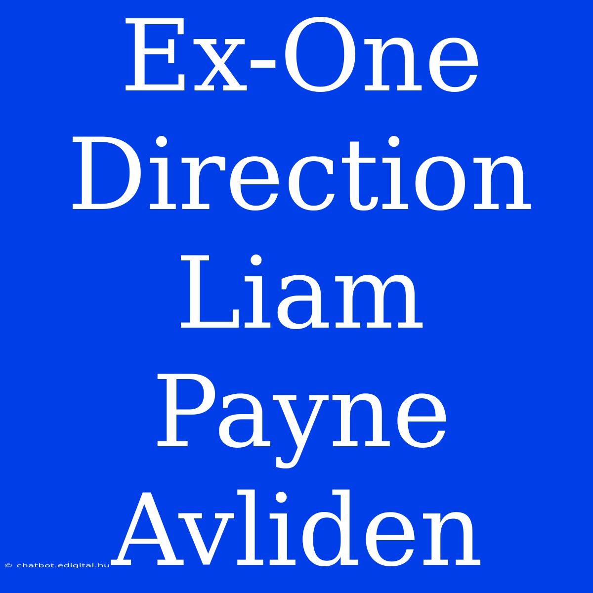 Ex-One Direction Liam Payne Avliden