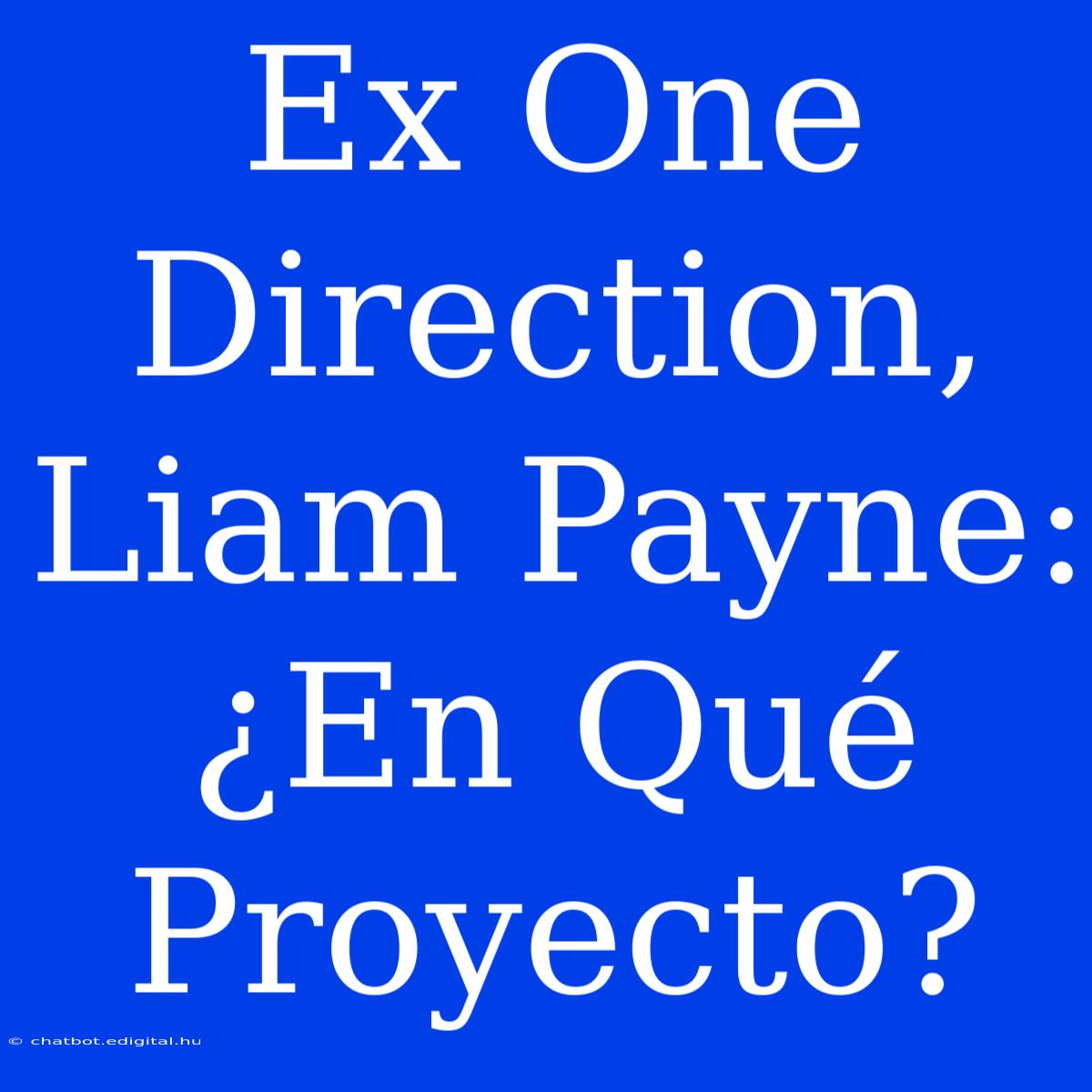 Ex One Direction, Liam Payne: ¿En Qué Proyecto?