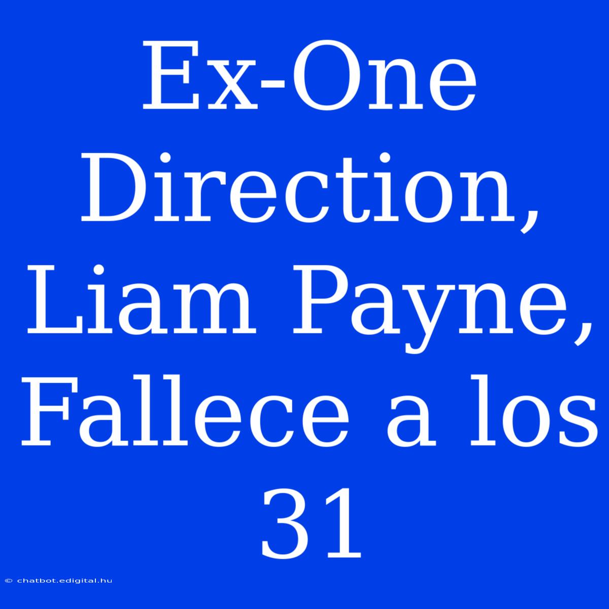 Ex-One Direction, Liam Payne, Fallece A Los 31