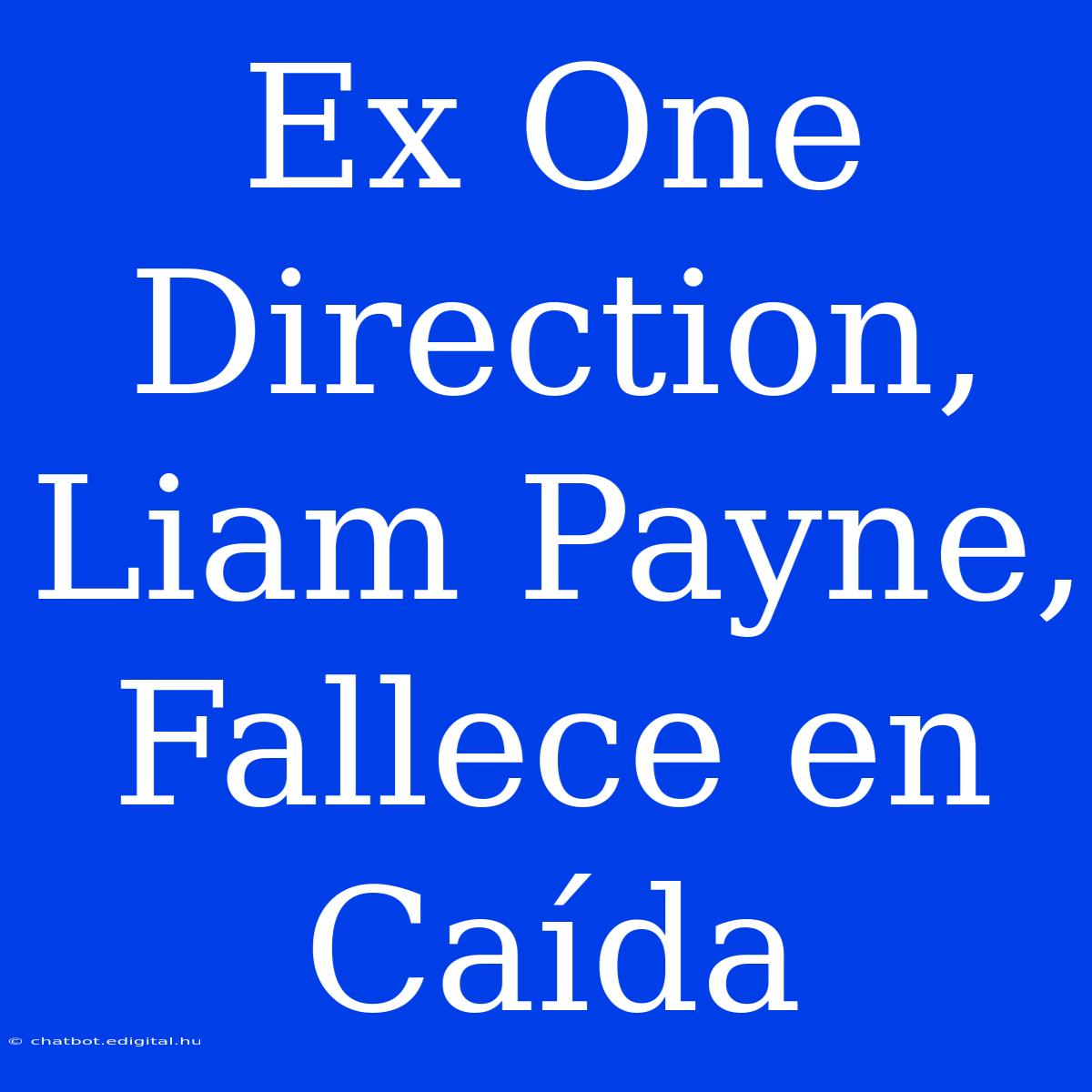 Ex One Direction, Liam Payne, Fallece En Caída