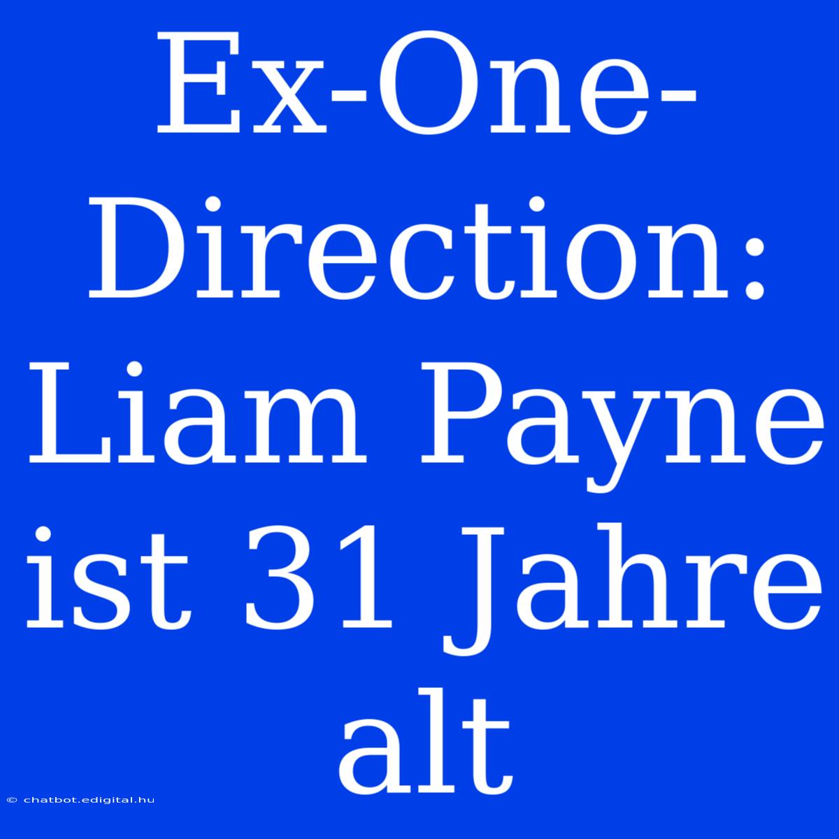 Ex-One-Direction: Liam Payne Ist 31 Jahre Alt