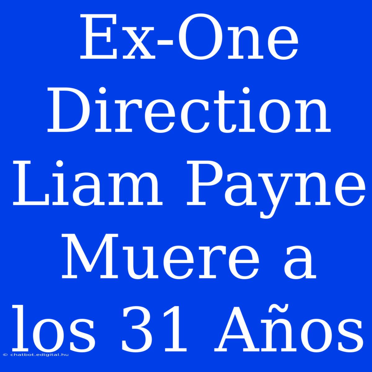 Ex-One Direction Liam Payne Muere A Los 31 Años