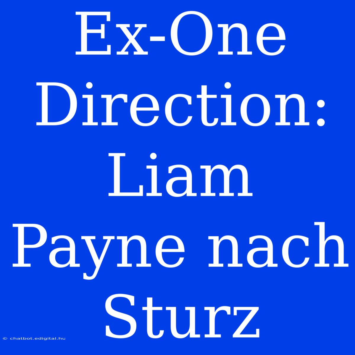 Ex-One Direction: Liam Payne Nach Sturz