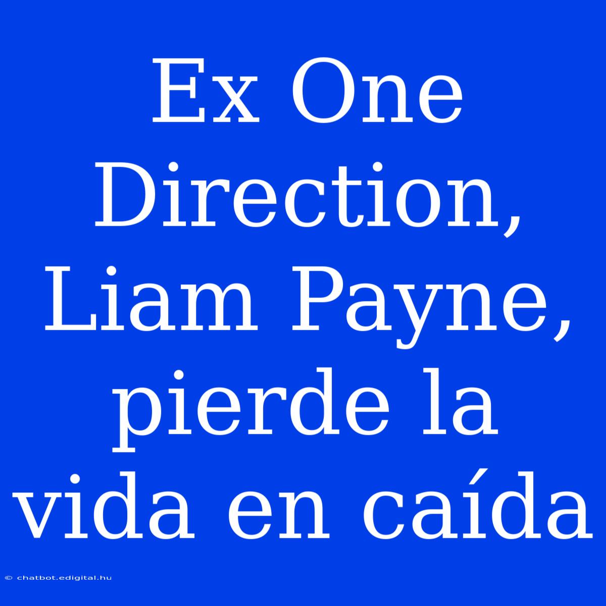 Ex One Direction, Liam Payne, Pierde La Vida En Caída