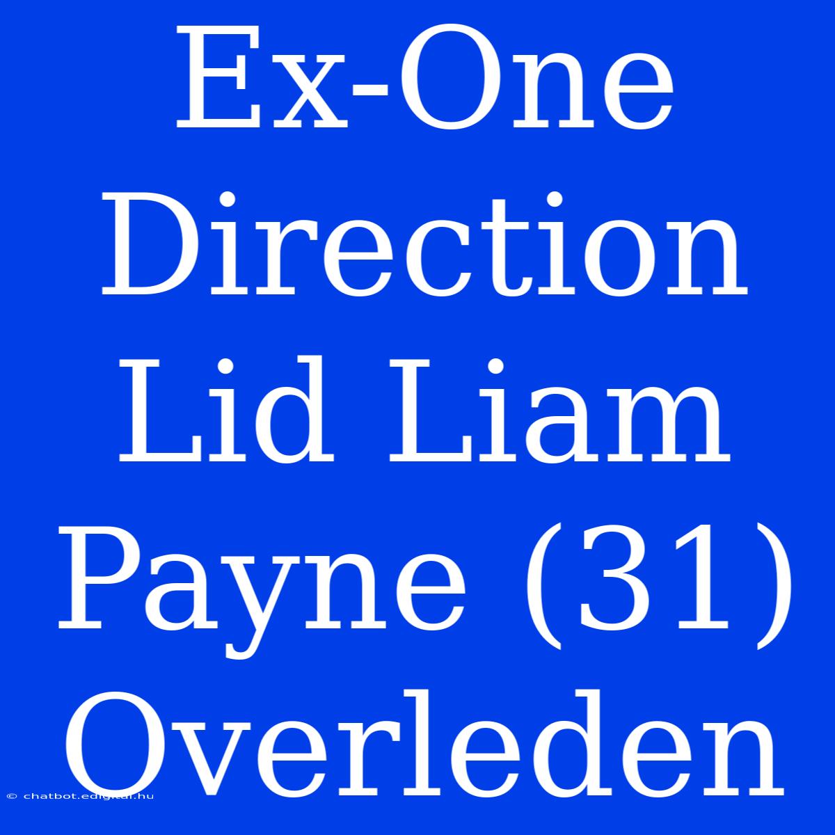 Ex-One Direction Lid Liam Payne (31) Overleden 