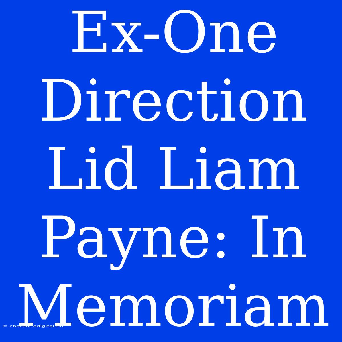 Ex-One Direction Lid Liam Payne: In Memoriam