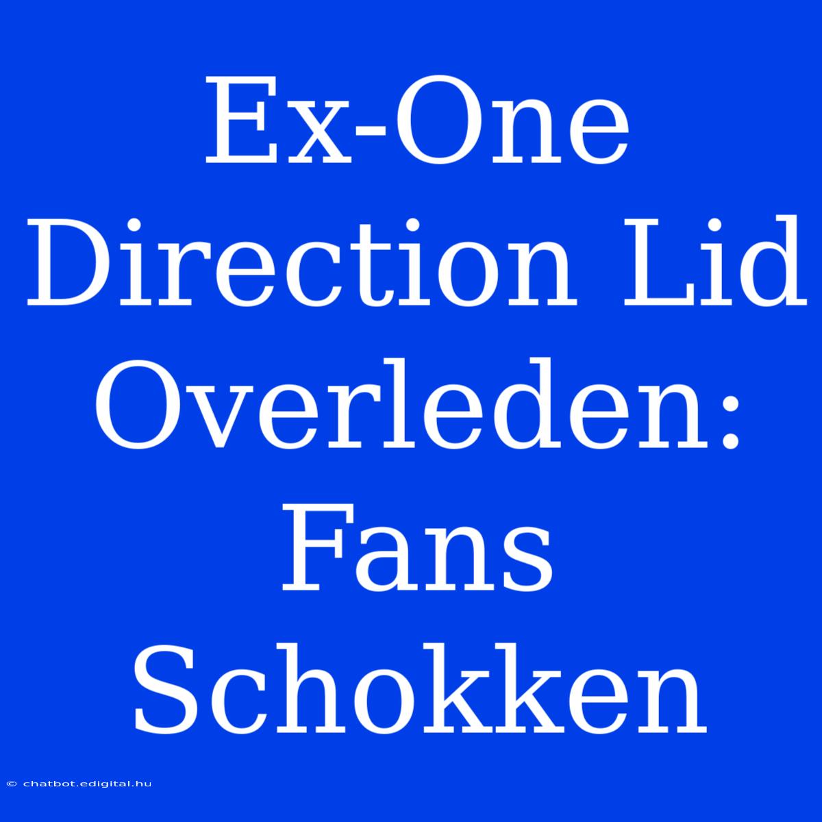 Ex-One Direction Lid Overleden: Fans Schokken