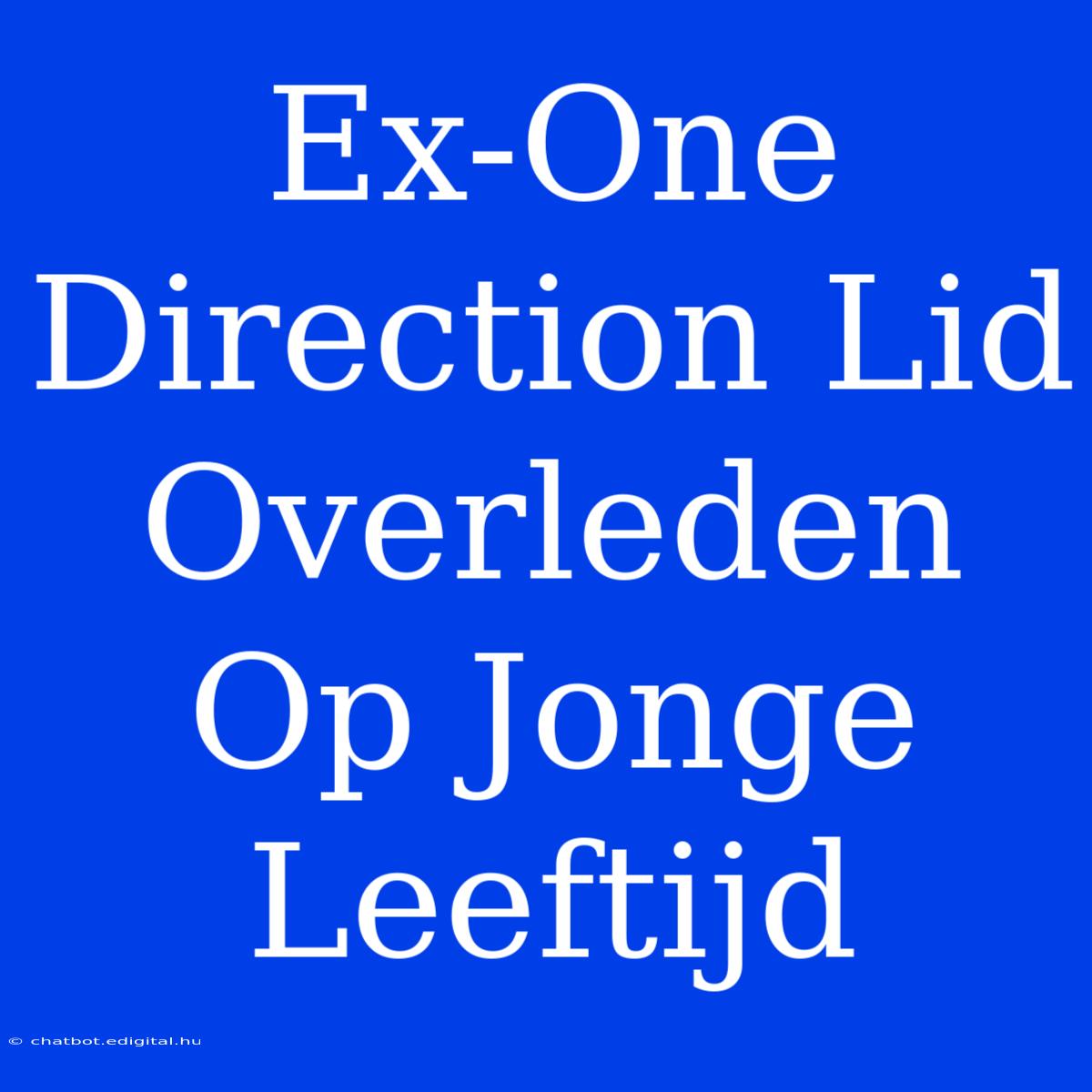 Ex-One Direction Lid Overleden Op Jonge Leeftijd