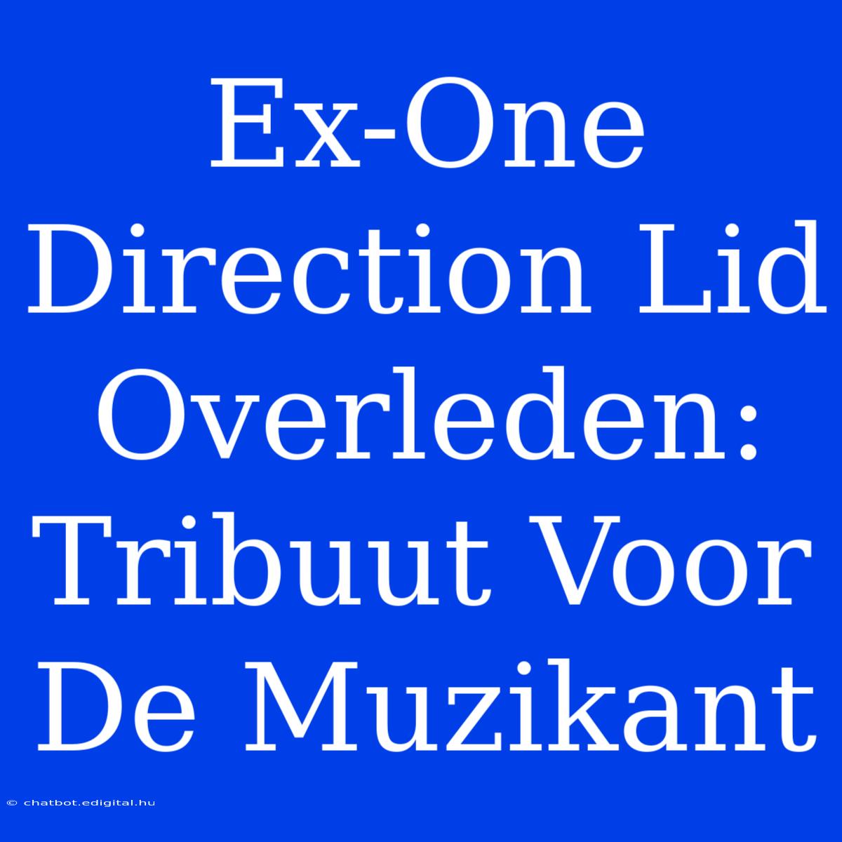 Ex-One Direction Lid Overleden: Tribuut Voor De Muzikant 