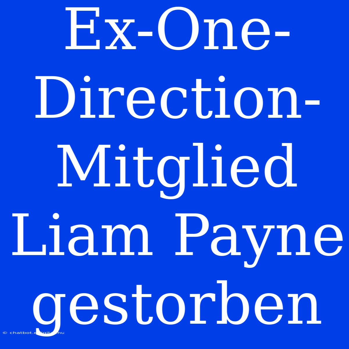 Ex-One-Direction-Mitglied Liam Payne Gestorben