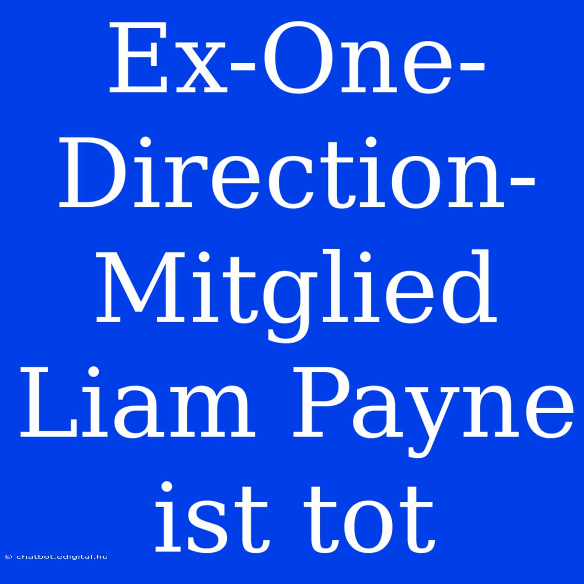 Ex-One-Direction-Mitglied Liam Payne Ist Tot