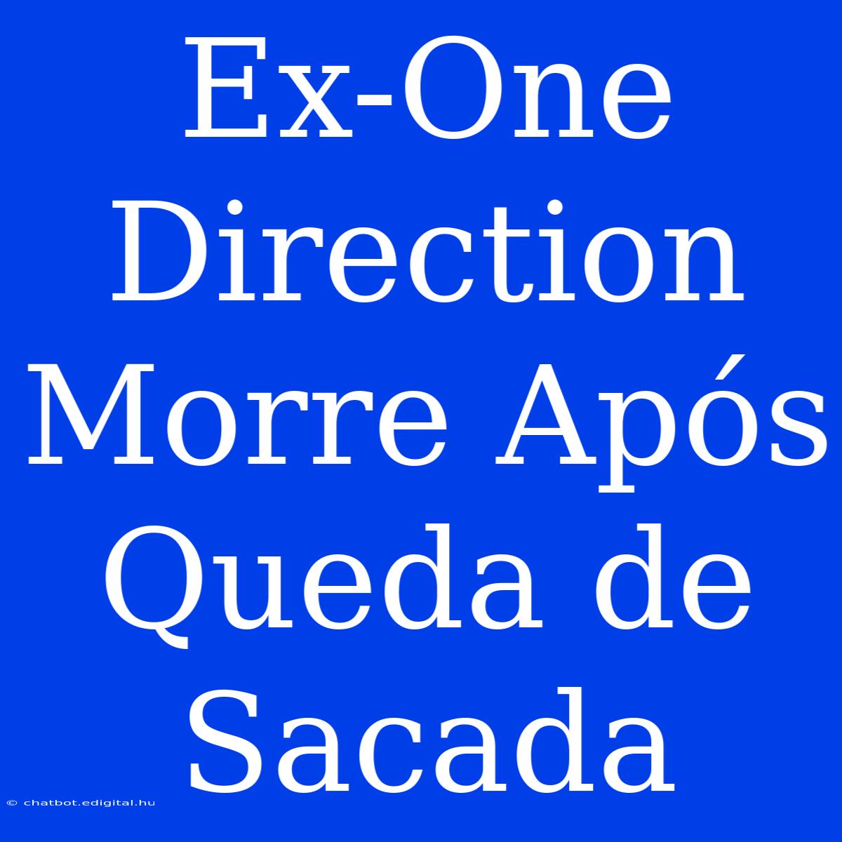 Ex-One Direction Morre Após Queda De Sacada