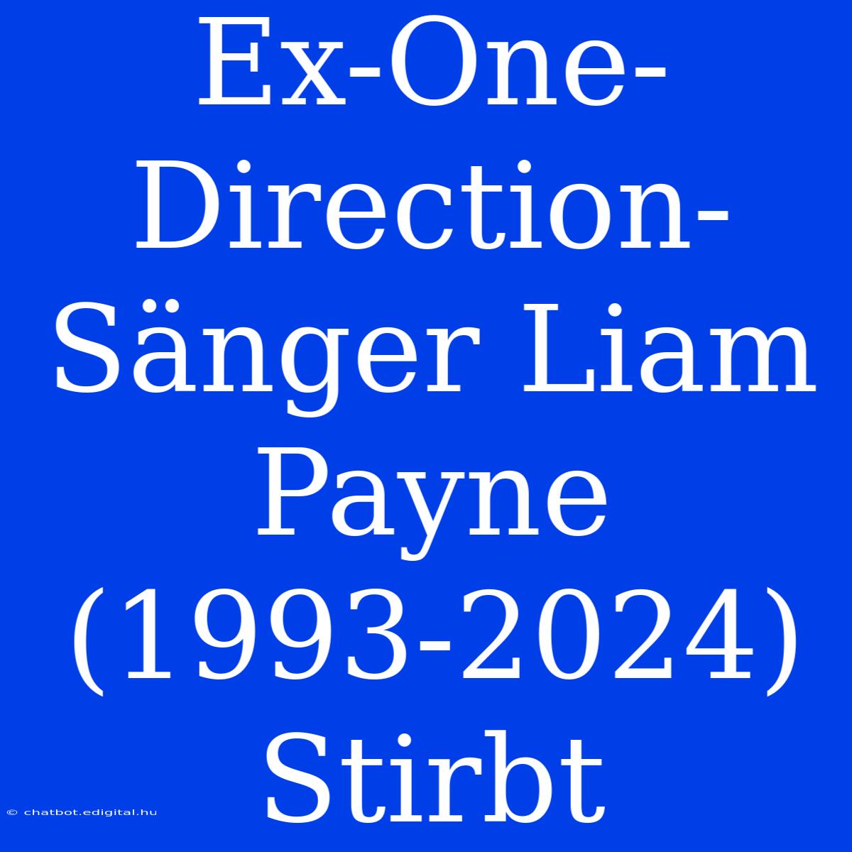 Ex-One-Direction-Sänger Liam Payne (1993-2024) Stirbt