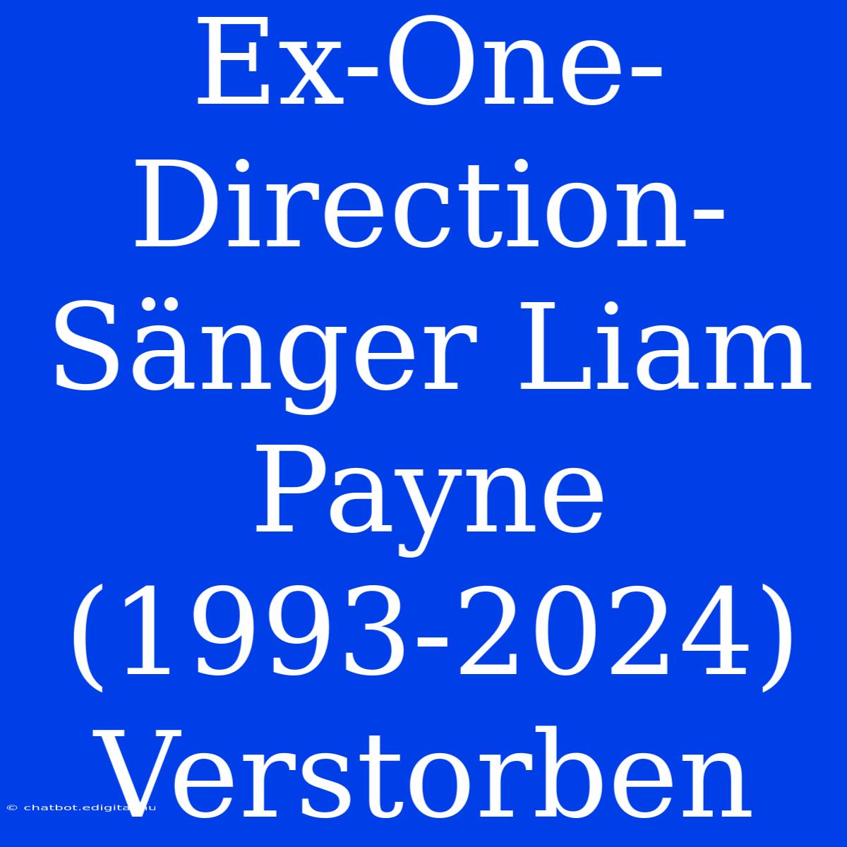 Ex-One-Direction-Sänger Liam Payne (1993-2024) Verstorben