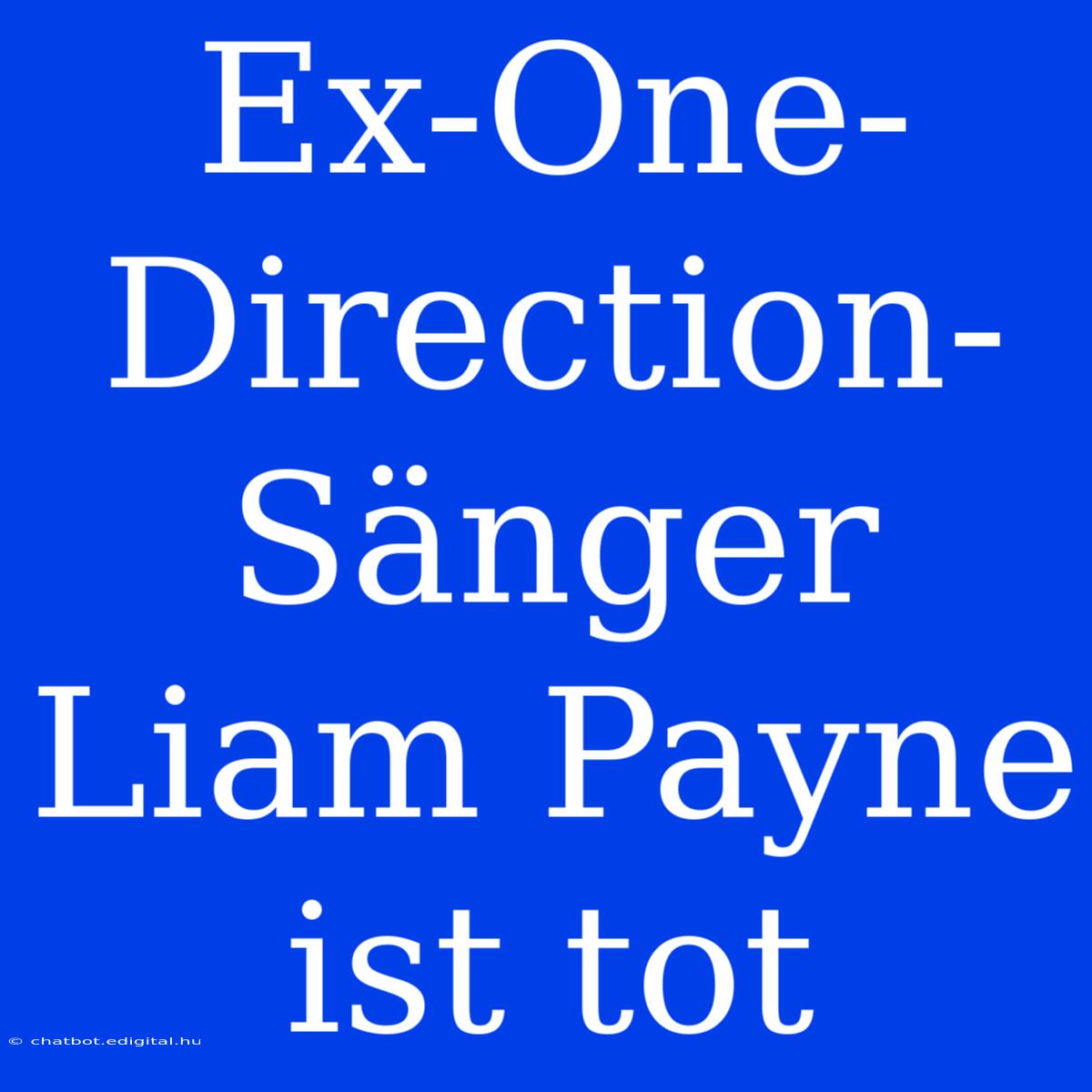 Ex-One-Direction-Sänger Liam Payne Ist Tot