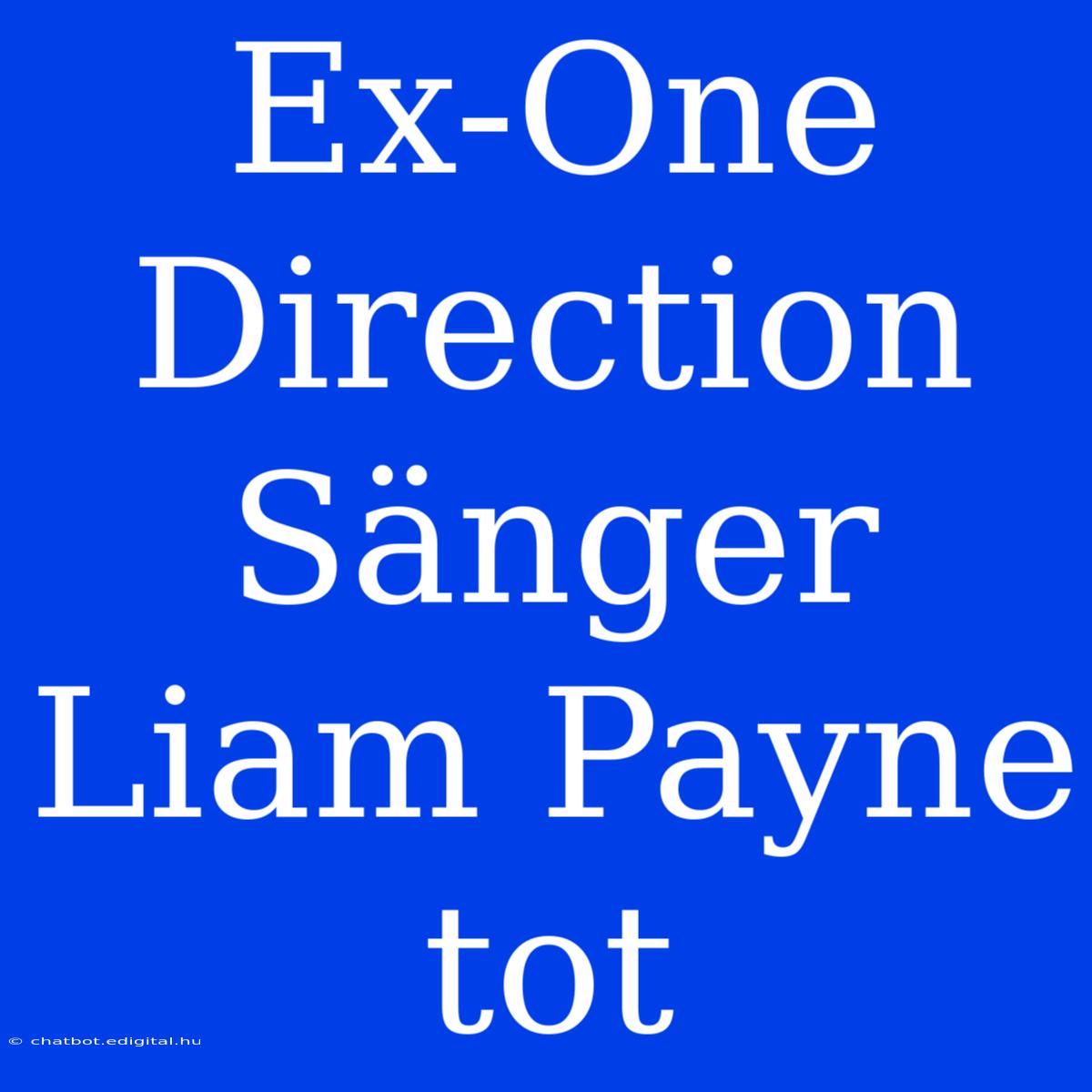 Ex-One-Direction-Sänger Liam Payne Tot