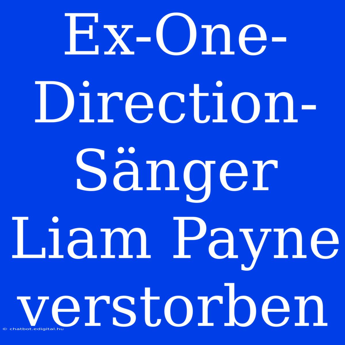 Ex-One-Direction-Sänger Liam Payne Verstorben