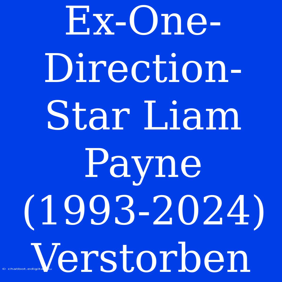 Ex-One-Direction-Star Liam Payne (1993-2024) Verstorben