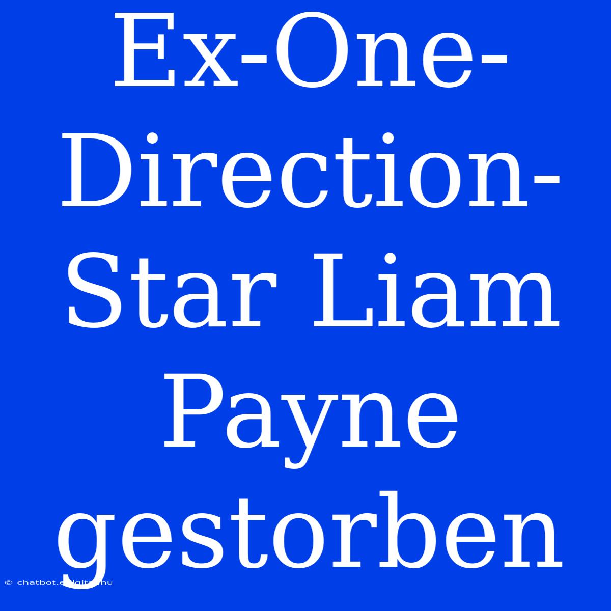 Ex-One-Direction-Star Liam Payne Gestorben