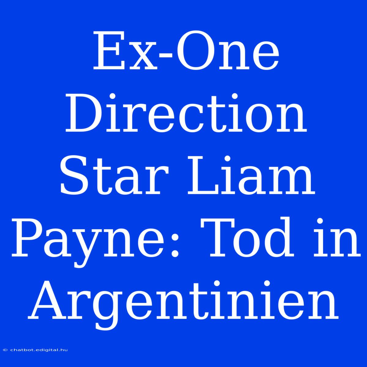 Ex-One Direction Star Liam Payne: Tod In Argentinien