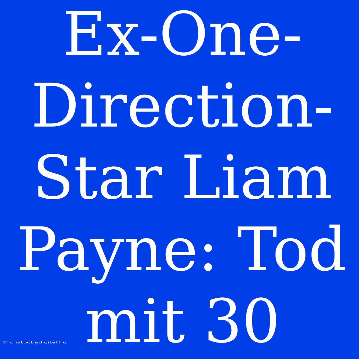 Ex-One-Direction-Star Liam Payne: Tod Mit 30