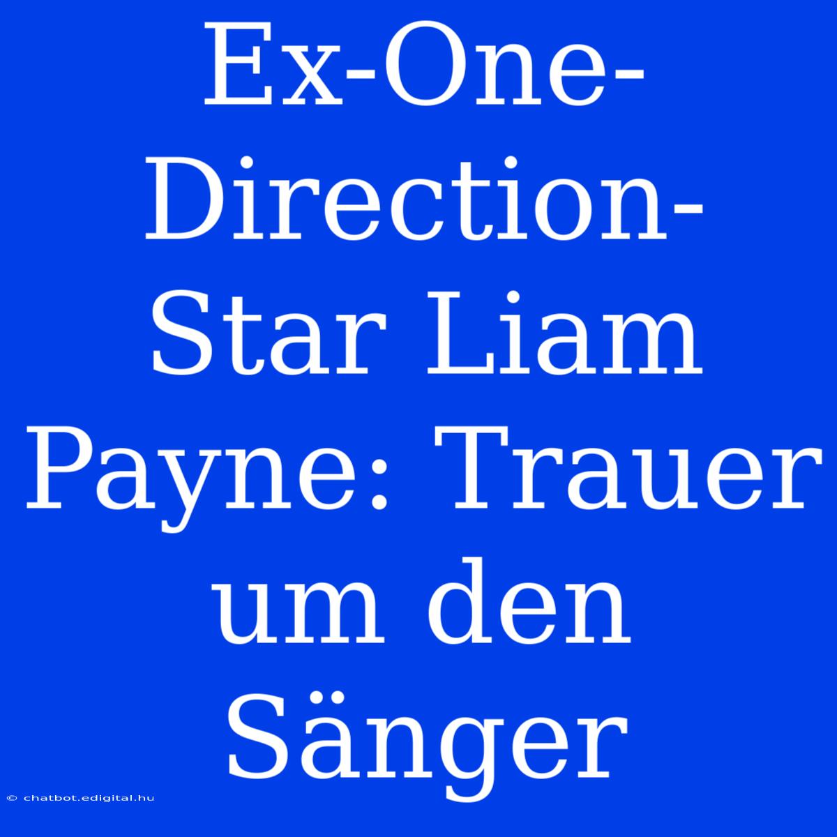 Ex-One-Direction-Star Liam Payne: Trauer Um Den Sänger