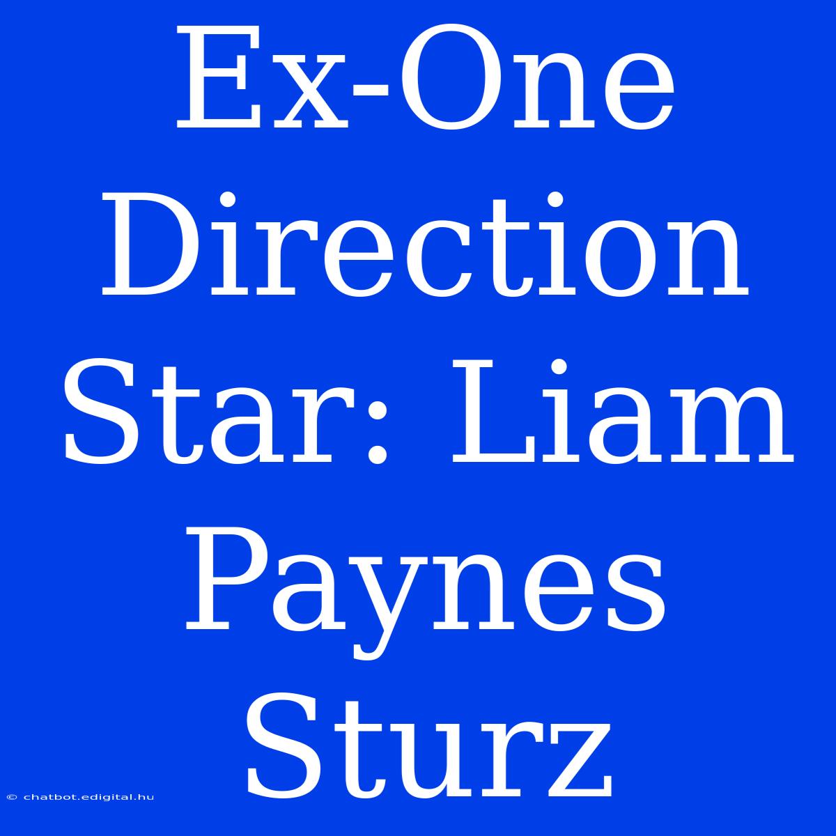 Ex-One Direction Star: Liam Paynes Sturz 