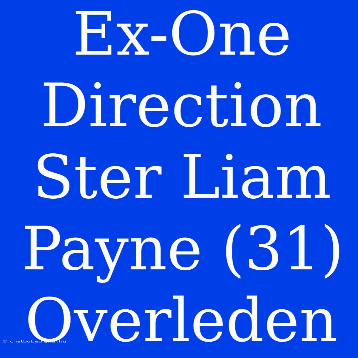 Ex-One Direction Ster Liam Payne (31) Overleden